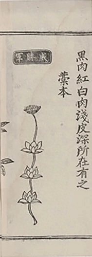 插图