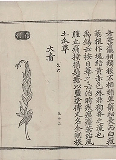 插图