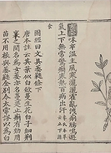 插图