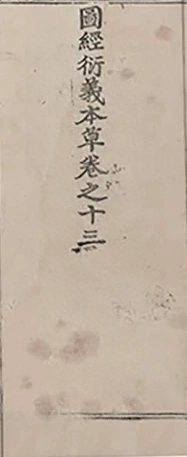 插图