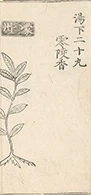 插图