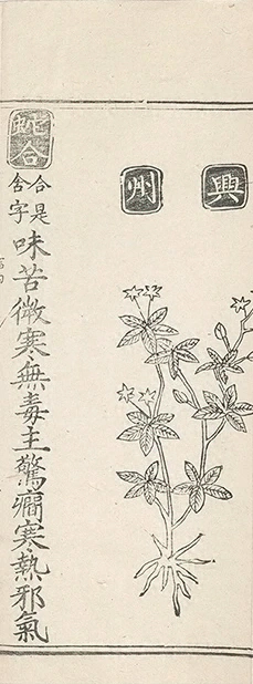 插图