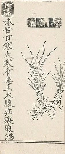 插图