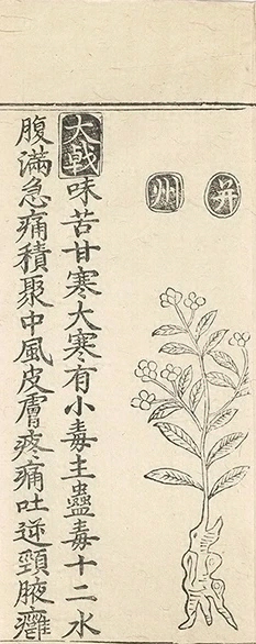 插图