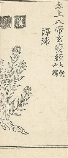插图