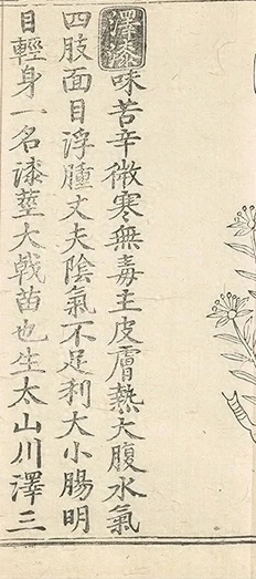 插图