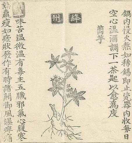 插图