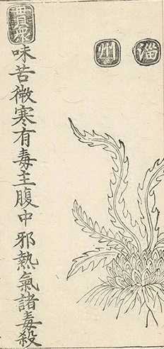 插图