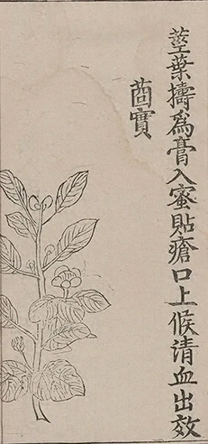 插图