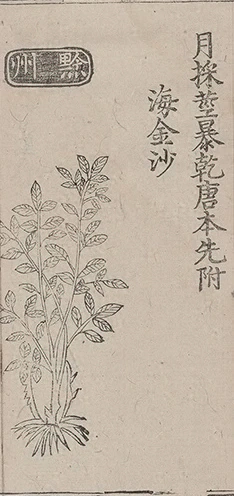 插图