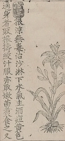 插图