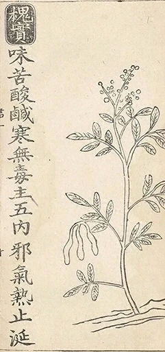插图