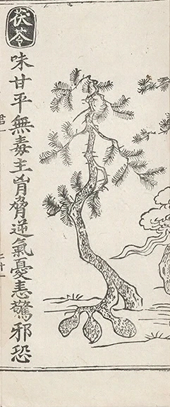 插图