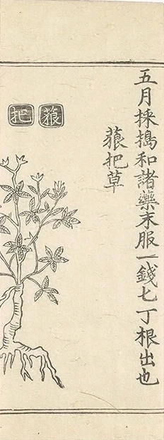 插图