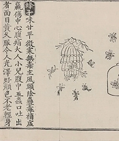插图