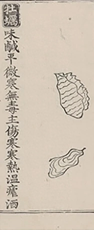 插图