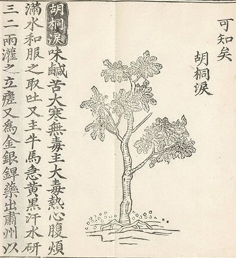 插图