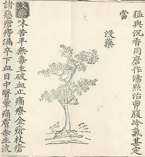 插图