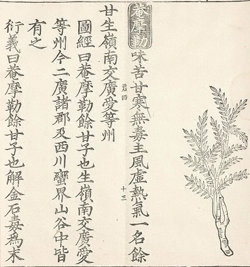 插图