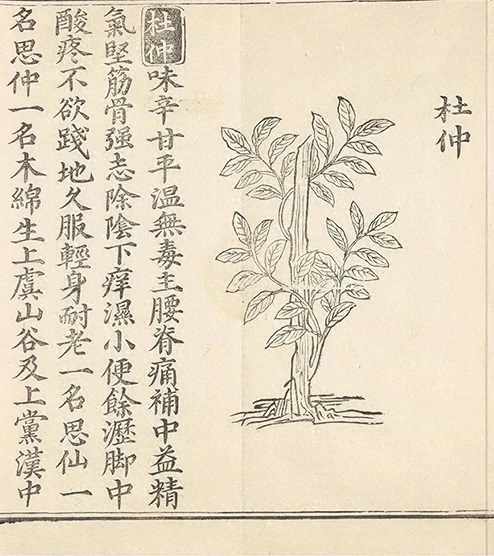 插图