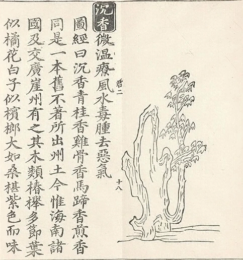 插图