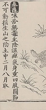 插图