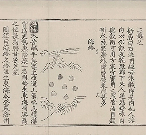 插图