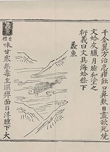 插图
