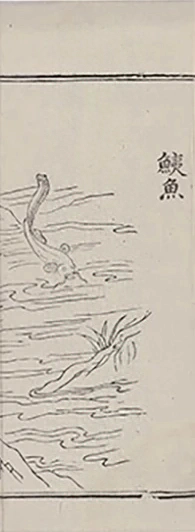 插图