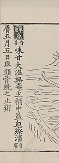插图