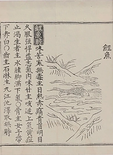 插图