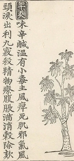 插图
