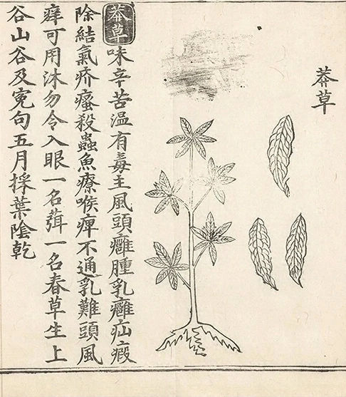 插图