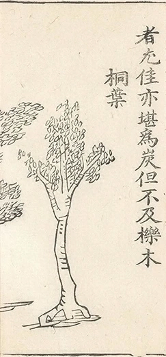插图