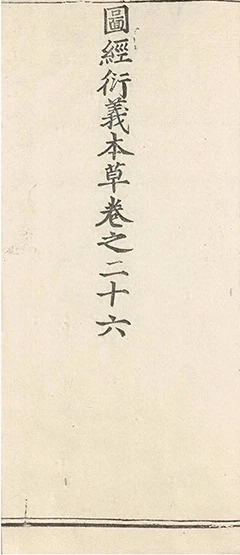 插图