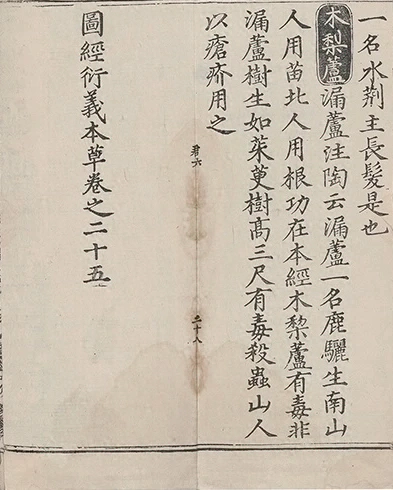 插图