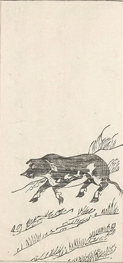 插图