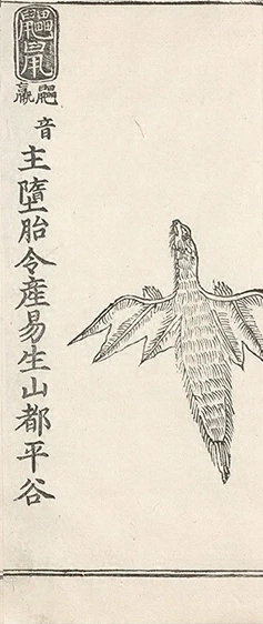 插图