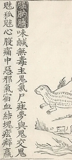 插图