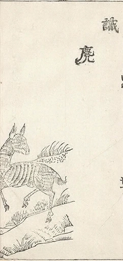 插图