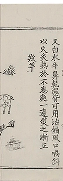插图