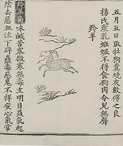 插图