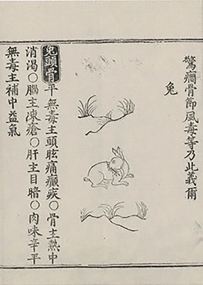 插图