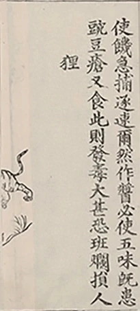 插图