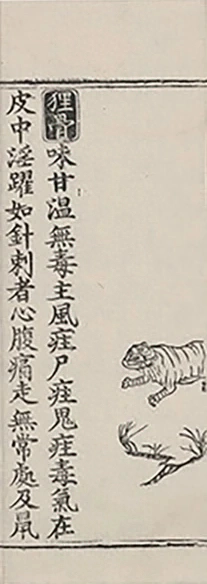 插图