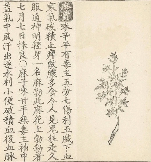插图