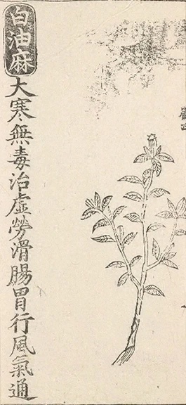 插图