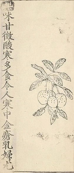 插图