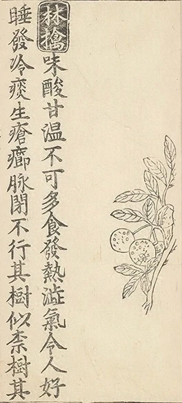 插图