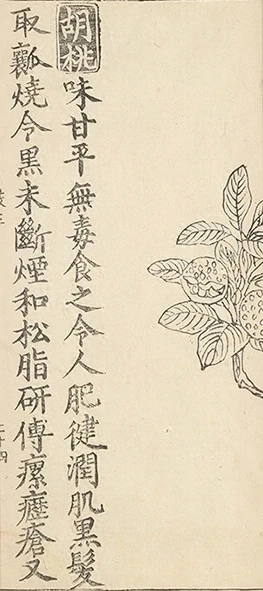插图